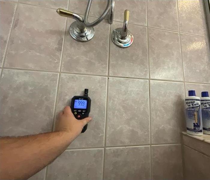 moisture meter against shower wall, two bottles of Mane 'n Tail shower gel to the right