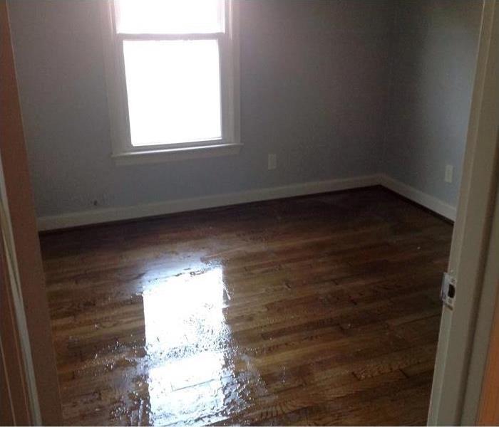 medium sized room, white walls, one averaged sized window adjacent from the door, water on hard wood floor