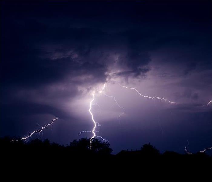 lightning bolts shoot from dark clouds striking trees